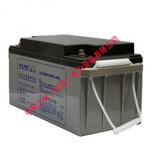 理士蓄电池 DJM12-65 12V65AH 铅酸免维护UPS不间断电源电池