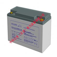 理士蓄电池 DJM12-55 12V55AH 铅酸免维护UPS不间断电源电池