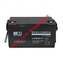 科华精卫蓄电池6-GFM-65 12V65AH铅酸免维护UPS不间断电源电池