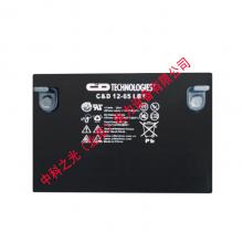 西恩迪蓄电池12-65N LBT 12V65AH 铅酸免维护UPS不间断电源电池