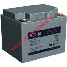 伊顿蓄电池ETNHW12-38Ah 12V38AH 铅酸免维护UPS不间断电源电池