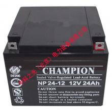 冠军蓄电池NP24-12 12V24AH 铅酸免维护UPS不间断电源电池