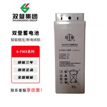 双登6-FMX系列铅酸免维护蓄电池UPS不间断电源专用电脑路由器停电备用