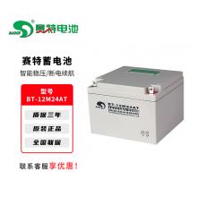 赛特BT系列铅酸免维护蓄电池UPS不间断电源专用电脑路由器停电备用